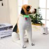 1 Pcs Pet Glowing Collars with Bells Glow At Night Dogs Cats Necklace Light Luminous Neck Ring Accessories