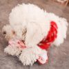 Pet Dog Toys For Small Dogs Funny Simulation Bite Resistant Squeaky Puppy Cat Toy Chew Dogs Toys Pets Products honden speelgoed