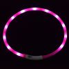 Pet's LED Collar With USB Rechargeable Glowing Lighted Up & Cuttable Waterproof Safety For Dogs