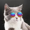 Pet Sunglasses Dog Cat Vintage Round Reflection Glasses for Photos Props Fashion Accessories