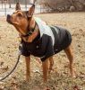 Touchdog Mount Pinnacle Pet Ski Jacket